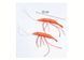Interactive Shrimp Cat Toy (2 pcs)