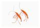 Interactive Shrimp Cat Toy (2 pcs)