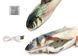 Cat Toys: Set of 2 Fish: Vibrating Fish 30cm, Plush Fish with Mint 20cm, CAPSBOARD