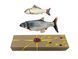 Cat Toys: Set of 2 Fish: Vibrating Fish 30cm, Plush Fish with Mint 20cm, CAPSBOARD