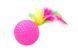 Cat Toys: Balls with Feathers and Rattles (5 pcs.) (Capsboard, 4 cm)