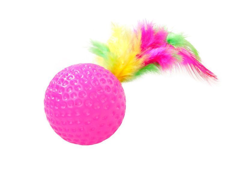 Cat Toys: Balls with Feathers and Rattles (5 pcs.) (Capsboard, 4 cm)