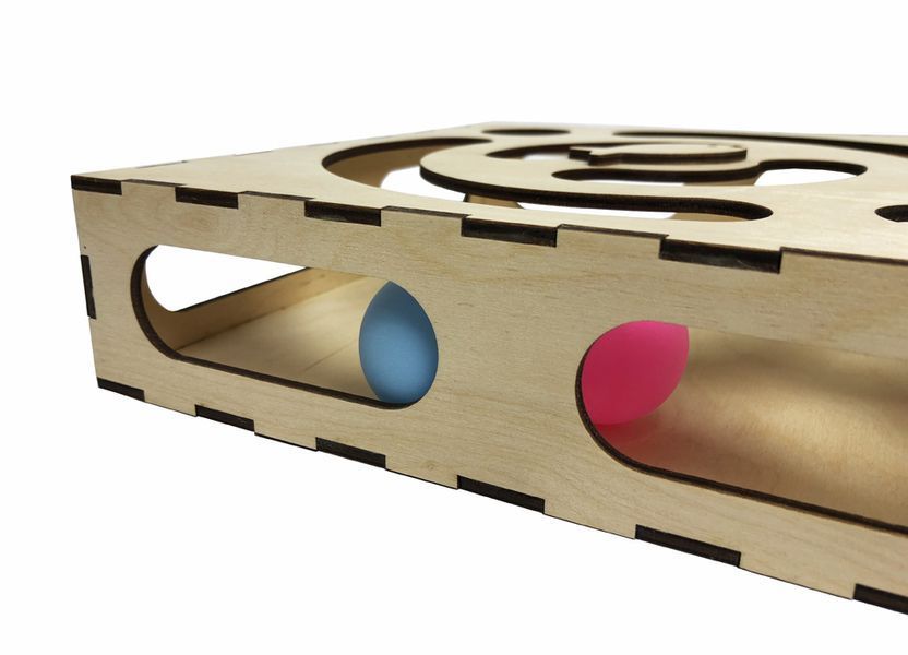 CAPSBOARD Cat Toy with Ball