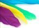 Cat Toy: 3 Replacement Feathers for the Teaser Fishing Rod (CAPSBOARD)