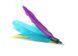 Cat Toy: 3 Replacement Feathers for the Teaser Fishing Rod (CAPSBOARD)