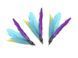 Cat Toy: 3 Replacement Feathers for the Teaser Fishing Rod (CAPSBOARD)
