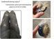 Silicone brush for combing hair from cats and dogs CAPSBOARD 8.5 x 7 cm (157000)