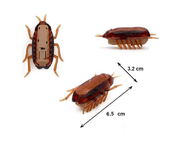 Іграшка для котів живий Таракан CAPSBOARD COCKROACH 6.5 см 190001 фото
