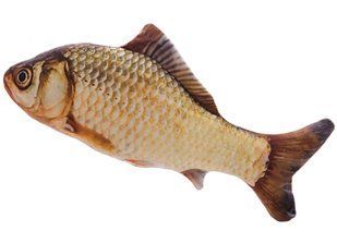 3D Capsboard Fish Plush Cat Toy