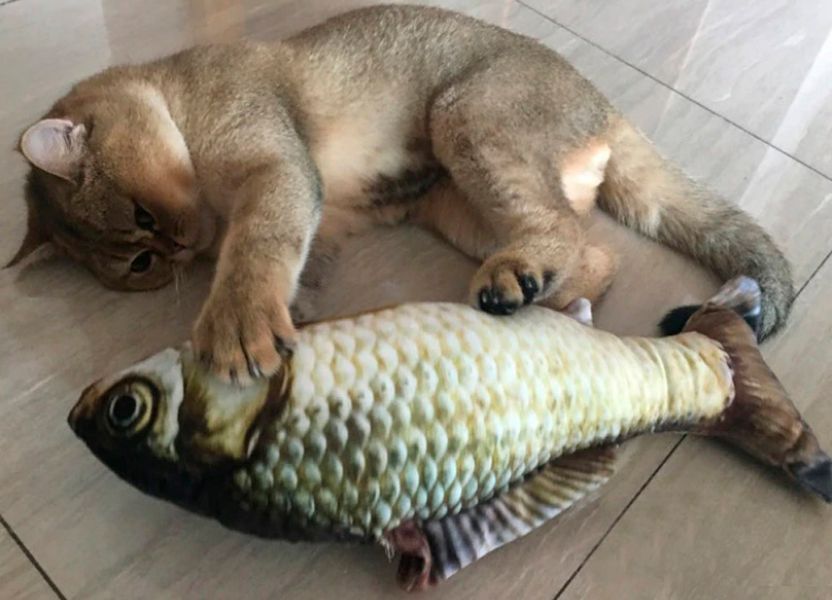 Игрушка для кошек плюшевая рыба 3D CAPSBOARD FISH 900000 фото