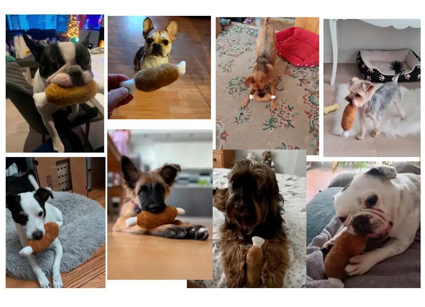 CAPSBOARD Plush Dog Toy Bone with Squeaker, 17 cm
