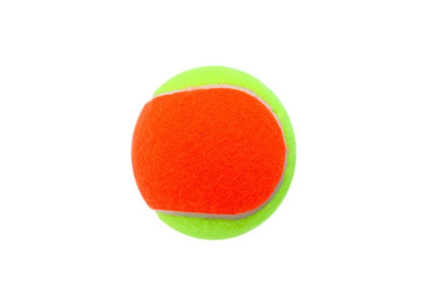 CAPSBOARD Plush Dog Toy Bone with Squeaker, 17 cm