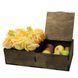 Gift Set "Dark Chest"