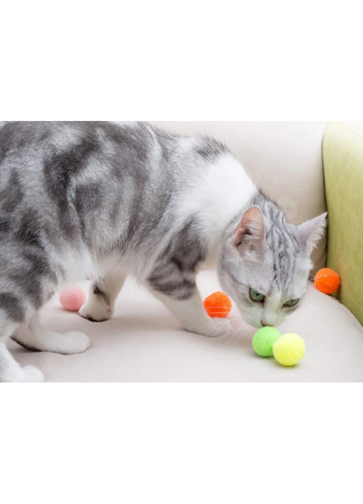 Игрушка для котят Разноцветный помпоны 10 шт 3 см CAPSBOARD POM POMS
